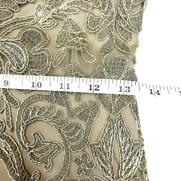 NWT Tadashi Shoji Dress Corded Embroidery On Tulle 3/4 Sleeve. Smoke Pearl Sz 2P